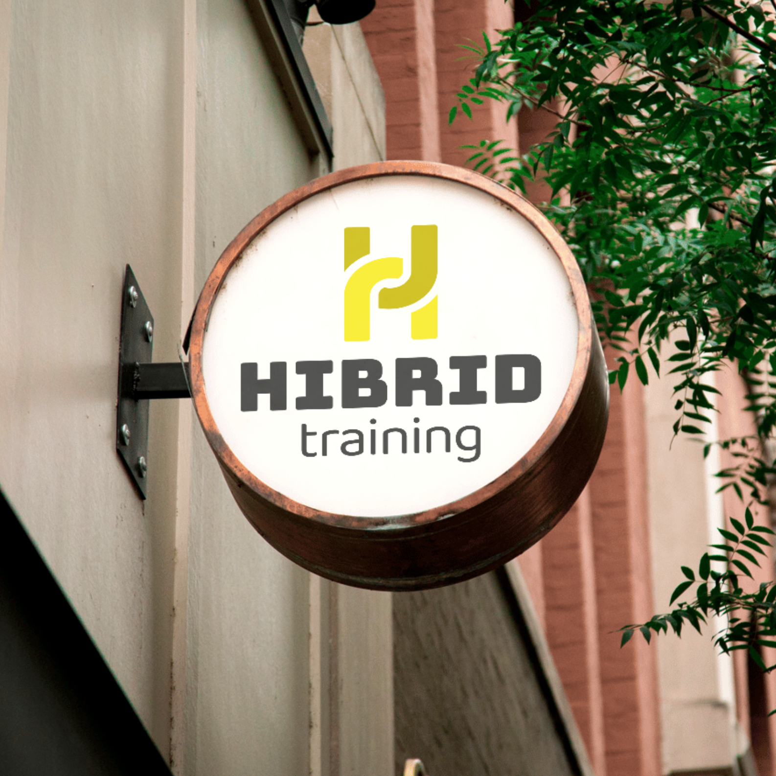 Hibrid Training